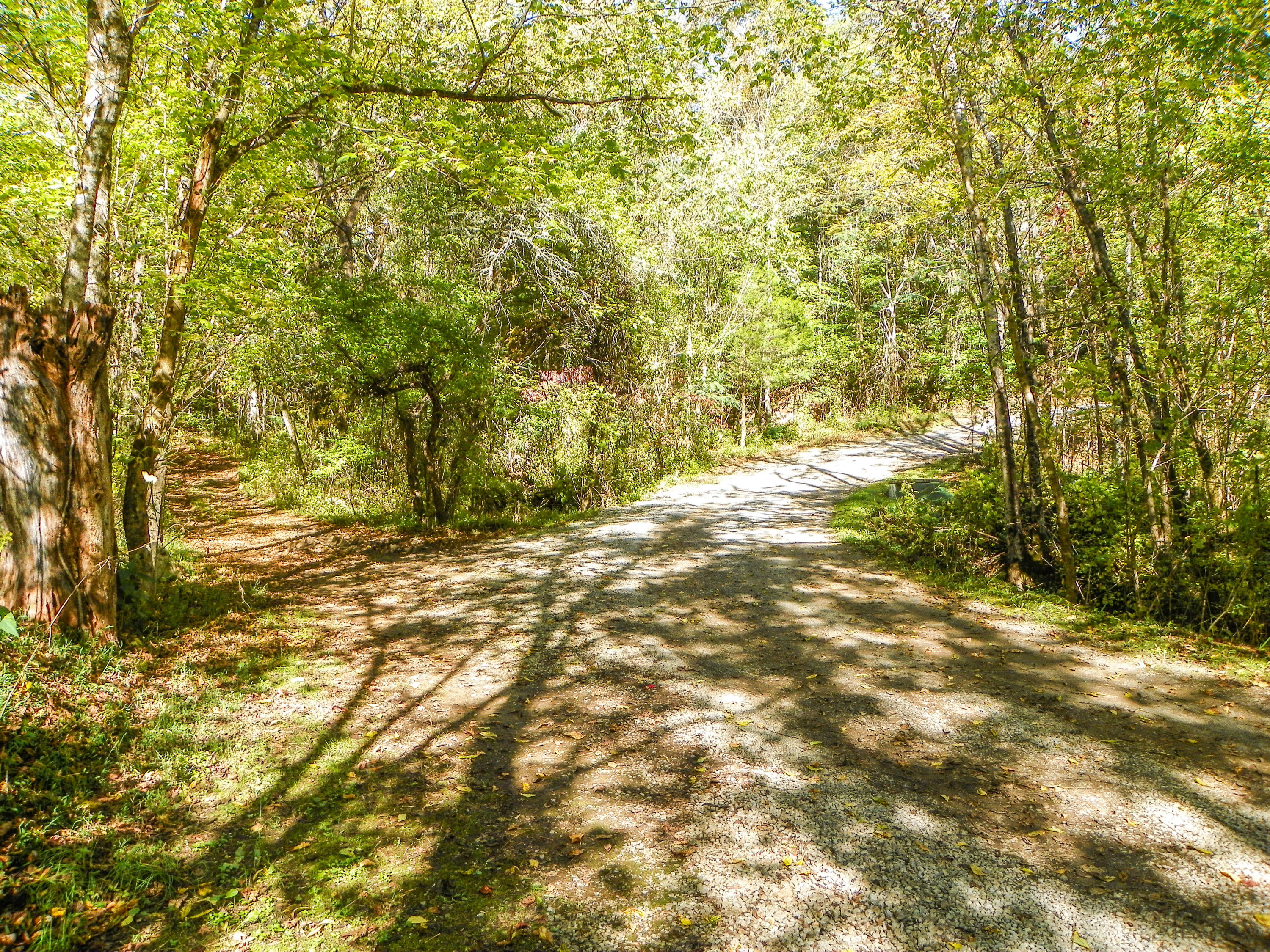 3-4 Obes Branch Road Sevierville, TN 37876 - Photo 3 of 33 Obes Branch Road (1)