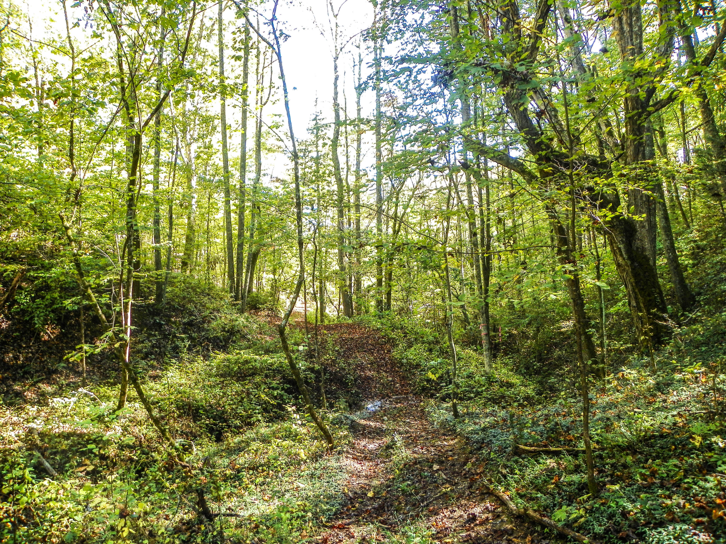 3-4 Obes Branch Road Sevierville, TN 37876 - Photo 21 of 33 Obes Branch Road (23)