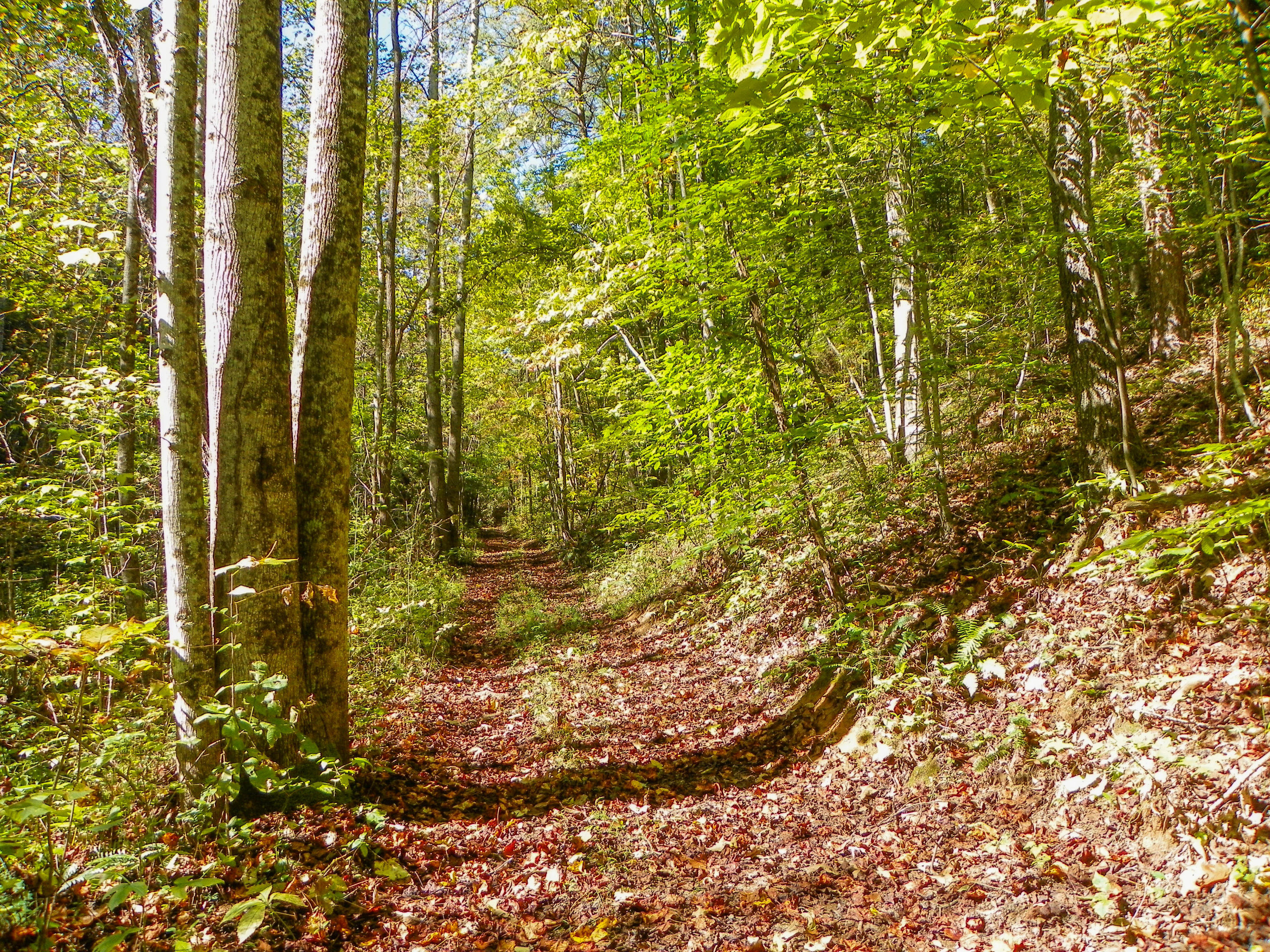 3-4 Obes Branch Road Sevierville, TN 37876 - Photo 25 of 33 Obes Branch Road (10)