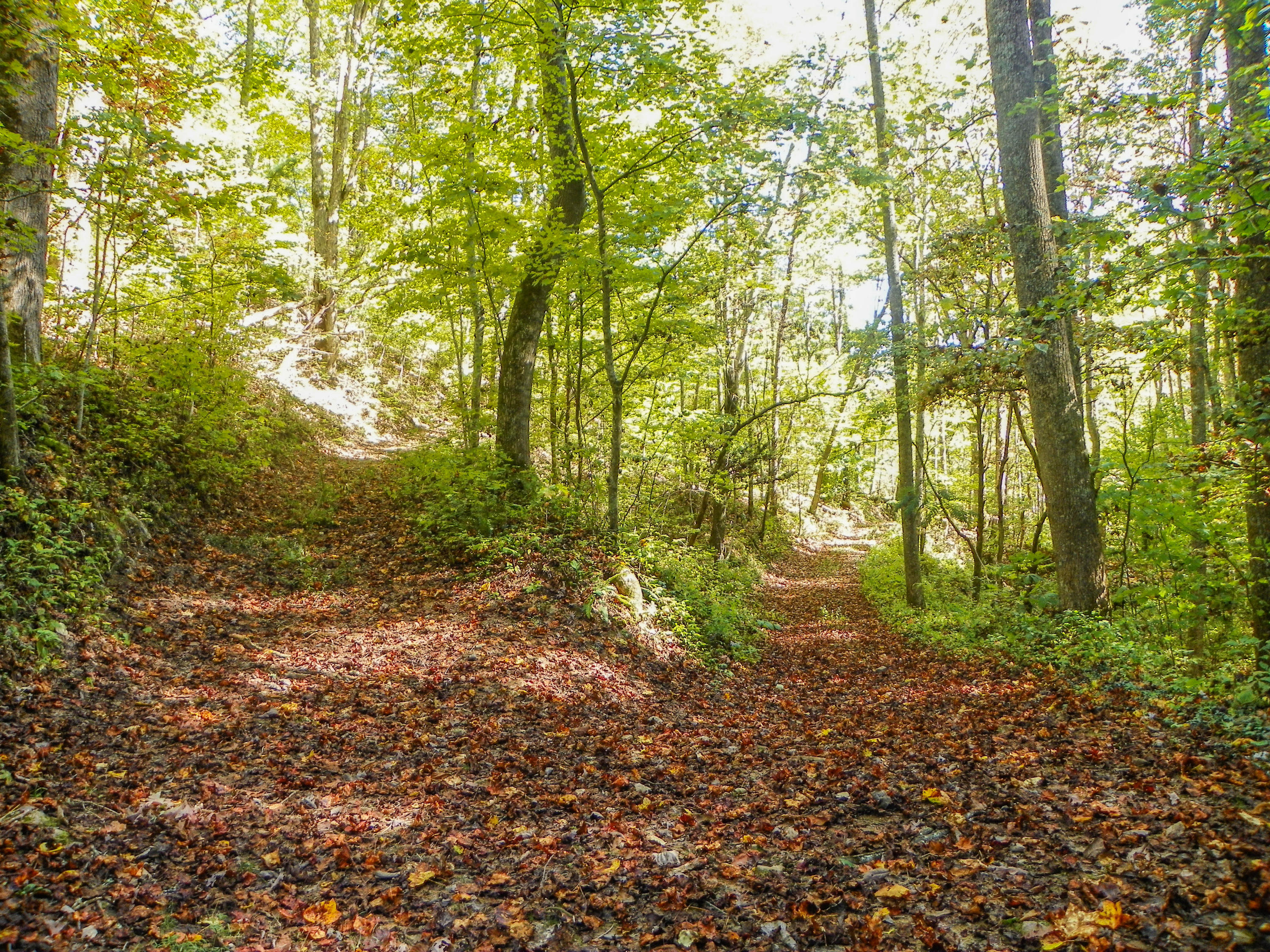 3-4 Obes Branch Road Sevierville, TN 37876 - Photo 26 of 33 Obes Branch Road (24)