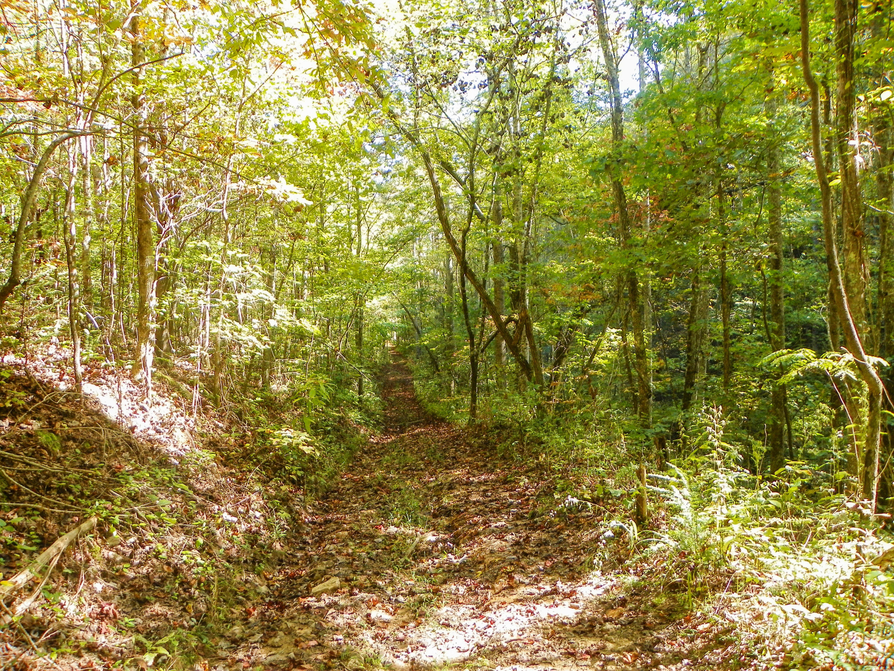 3-4 Obes Branch Road Sevierville, TN 37876 - Photo 27 of 33 Obes Branch Road (26)