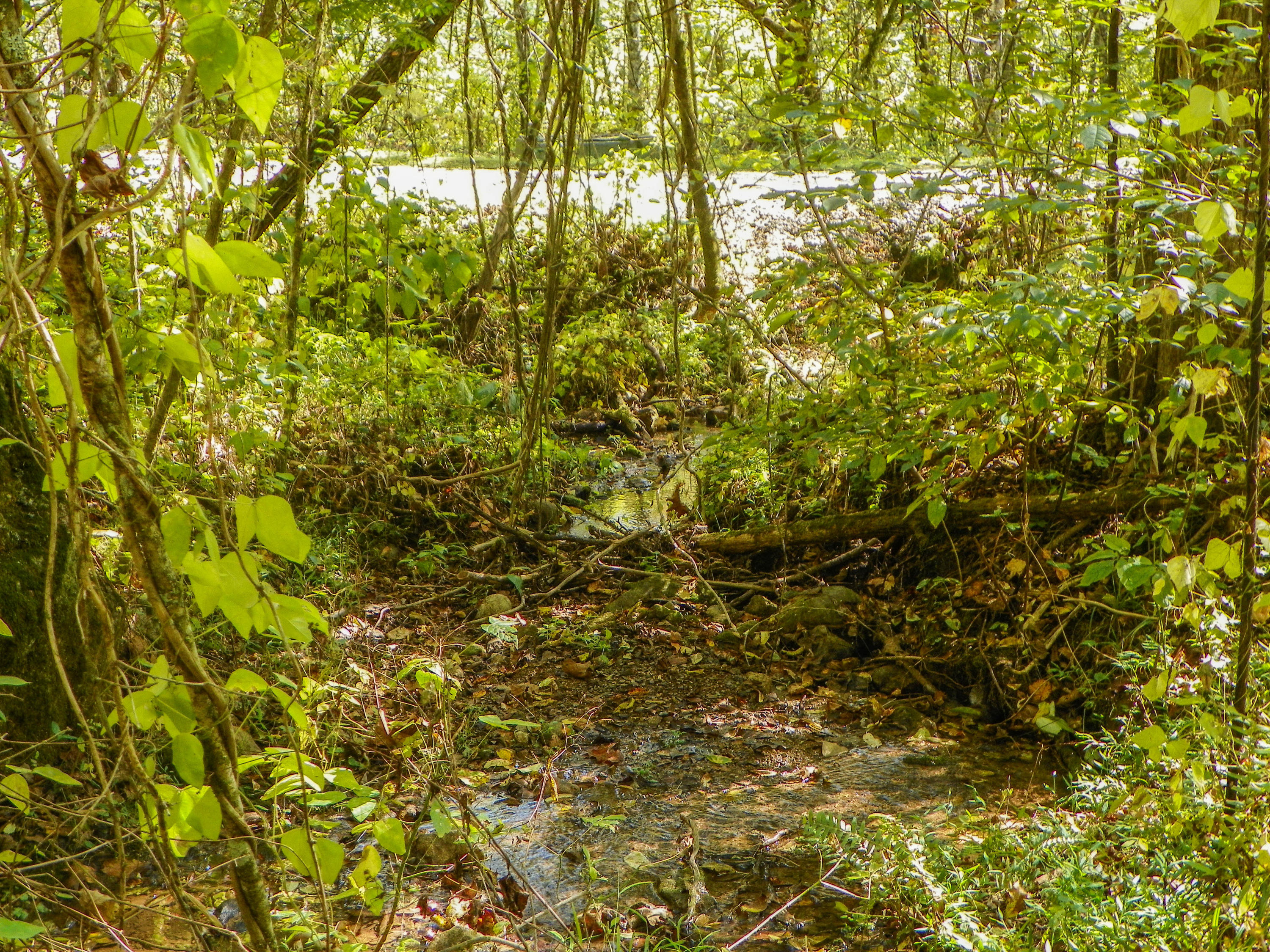 3-4 Obes Branch Road Sevierville, TN 37876 - Photo 28 of 33 Obes Branch Road (27)