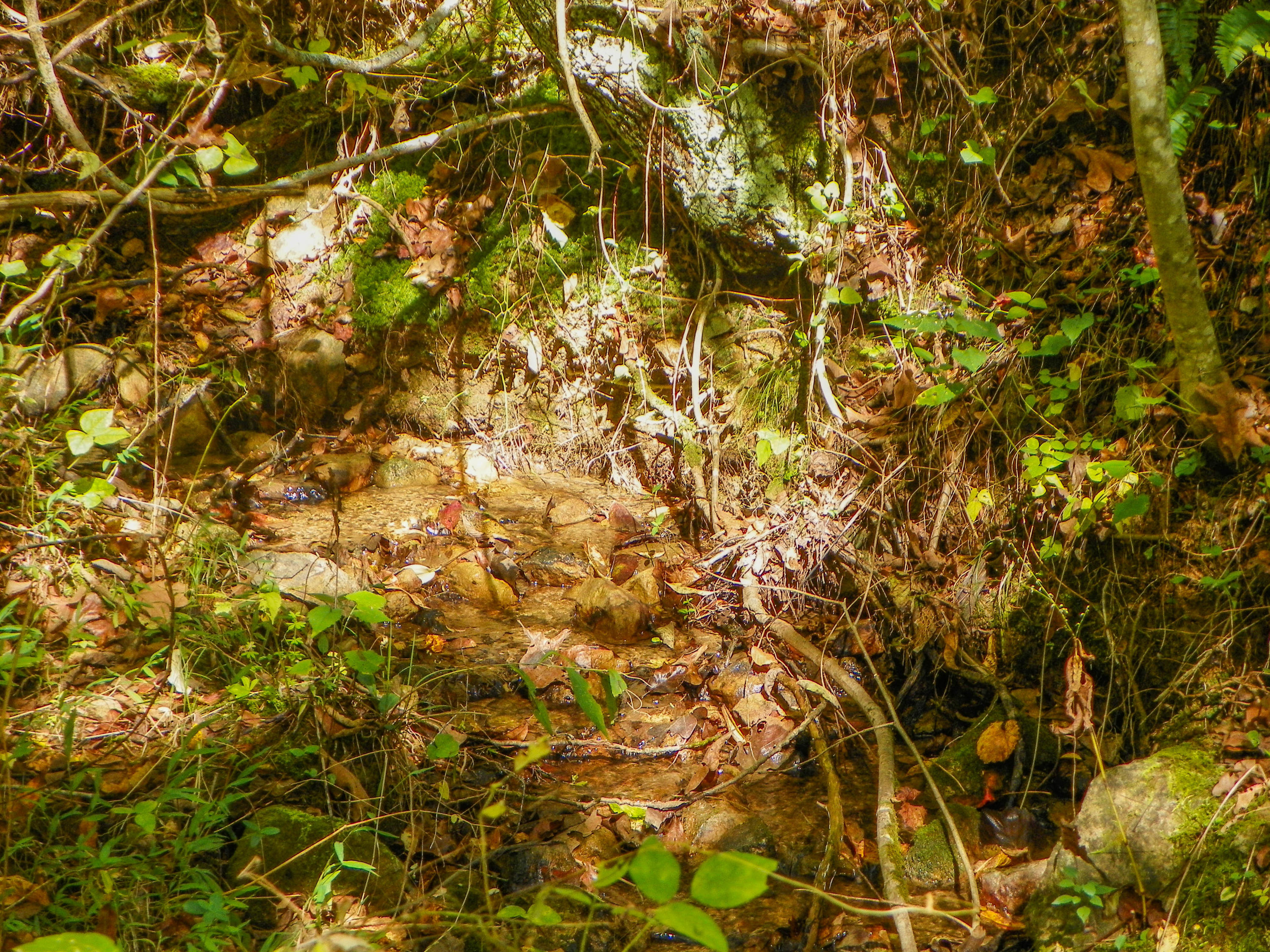 3-4 Obes Branch Road Sevierville, TN 37876 - Photo 29 of 33 Obes Branch Road (28)