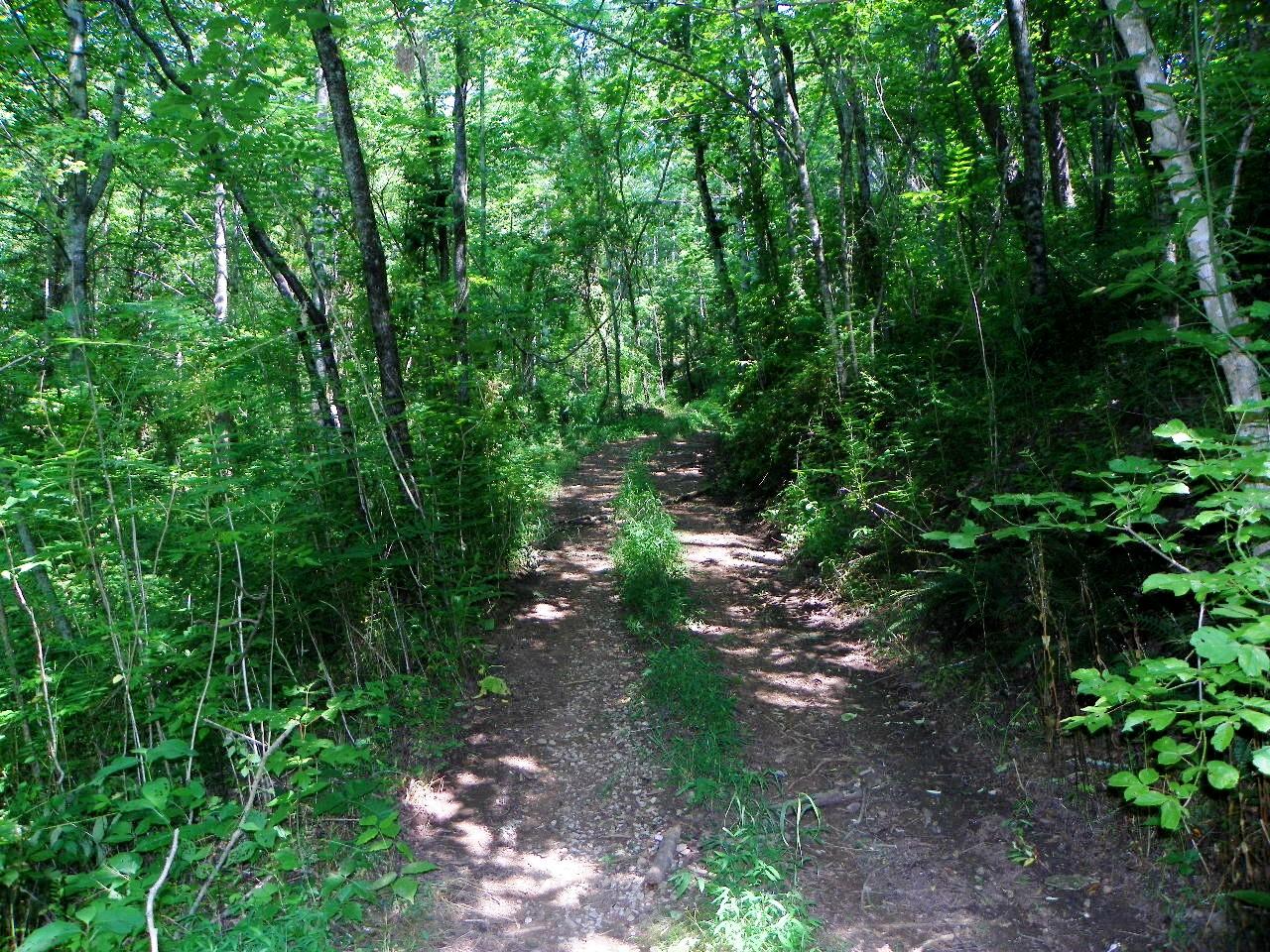 3-4 Obes Branch Road Sevierville, TN 37876 - Photo 30 of 33 100_1405