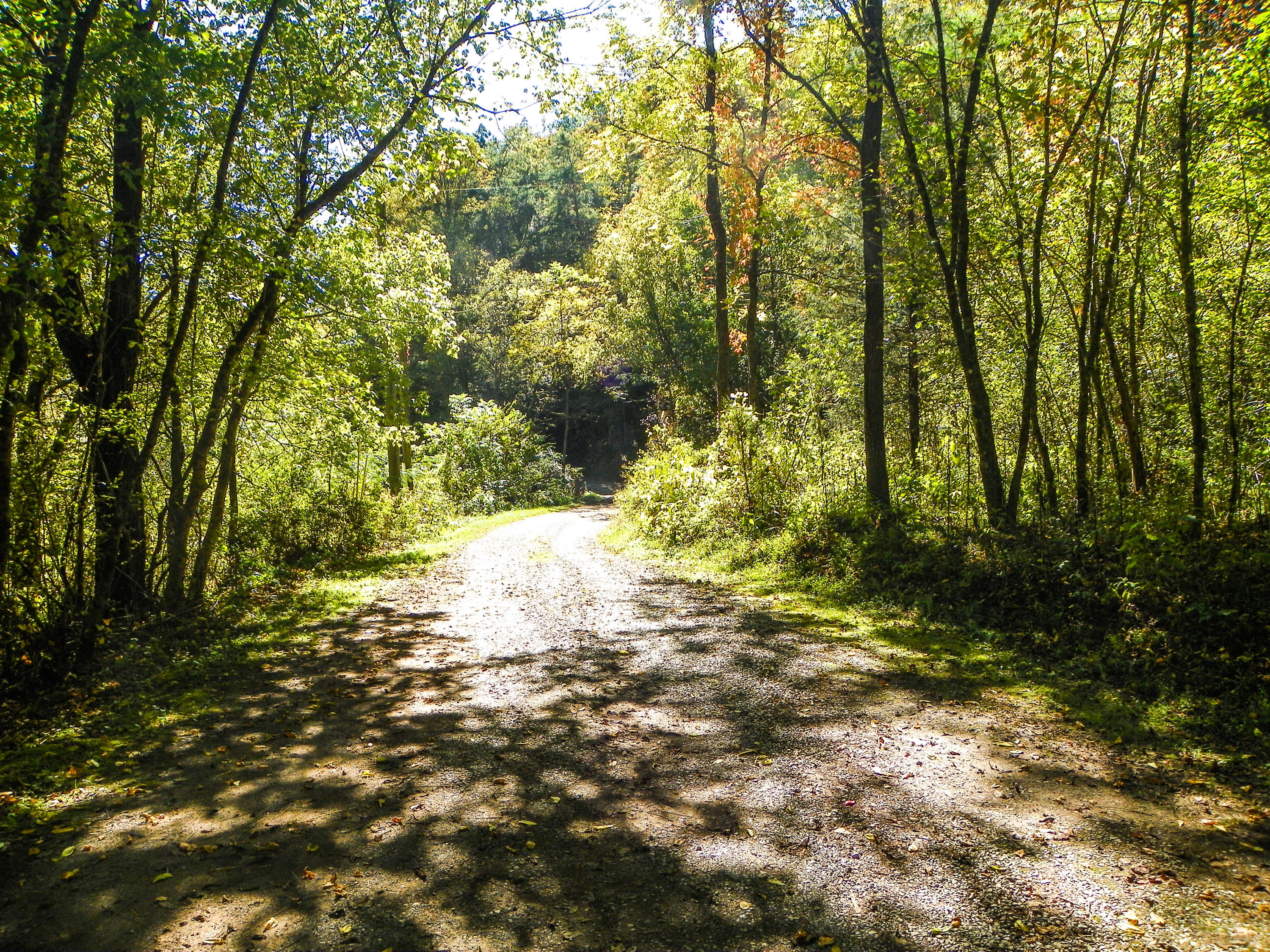 3-4 Obes Branch Road Sevierville, TN 37876 - Photo 32 of 33 Obes Branch Road (5)