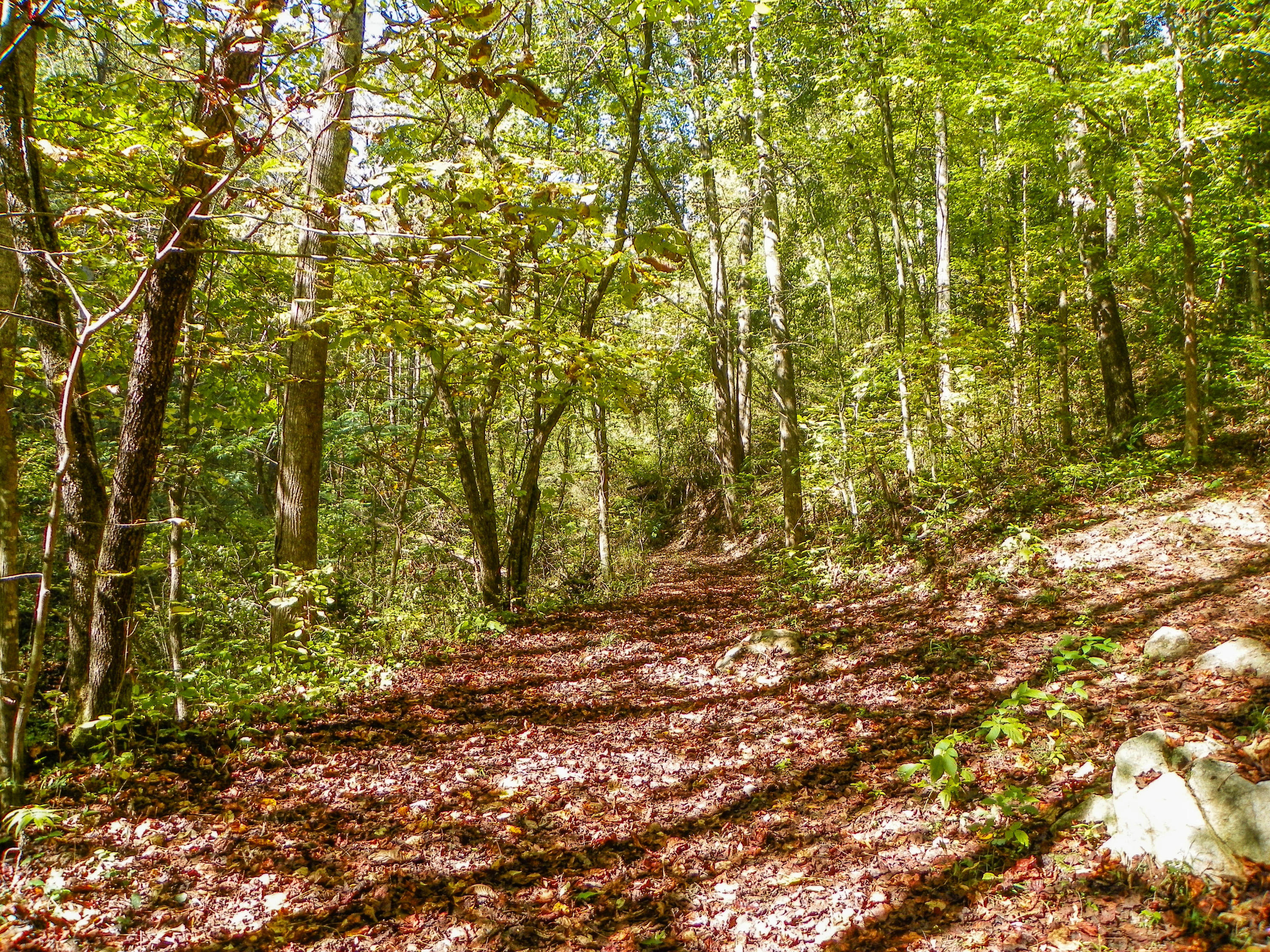 3-4 Obes Branch Road Sevierville, TN 37876 - Photo 6 of 33 Obes Branch Road (8)