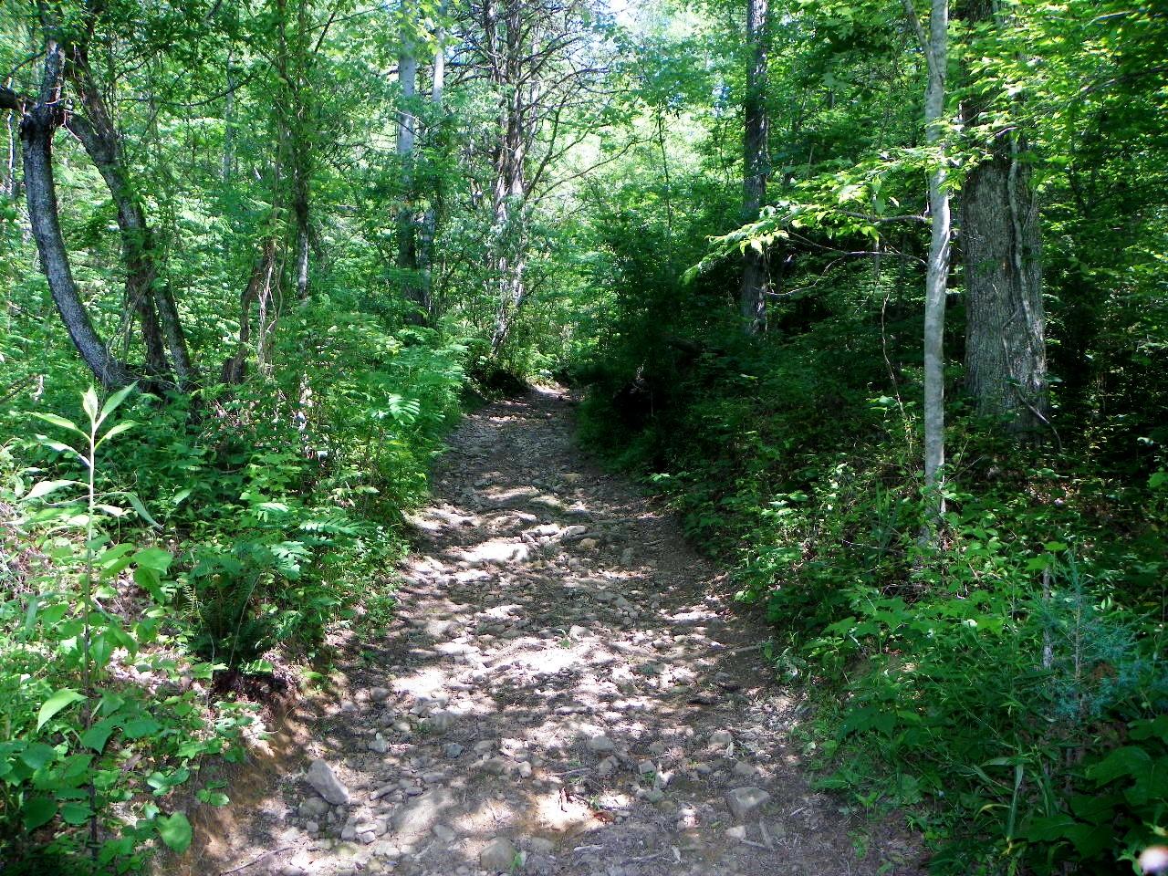 3-4 Obes Branch Road Sevierville, TN 37876 - Photo 8 of 33 100_1402