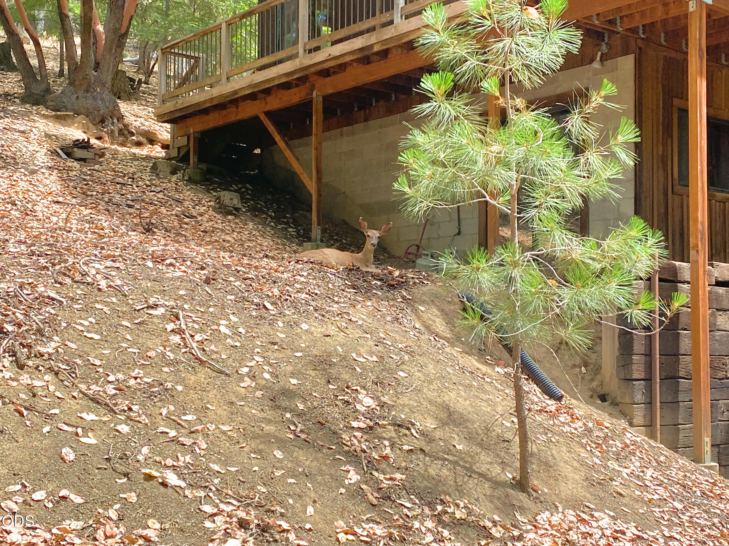 939 Beaver Creek Road Jacksonville, OR 97530 - Photo 48 of 57