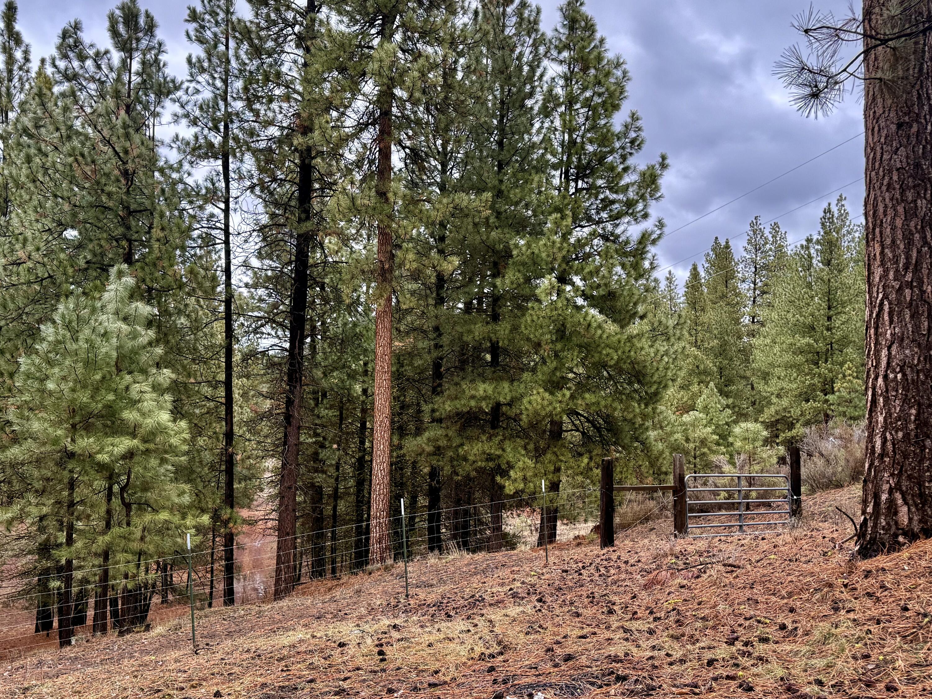 38965 Chiloquin Ridge Road Chiloquin, OR 97624 - Photo 57 of 59 VIEW