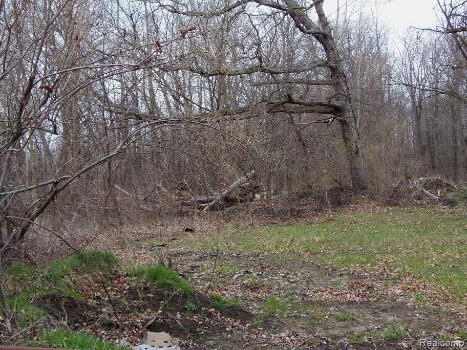 41005 Judd Road Belleville, MI 48111 - Photo 13 of 18