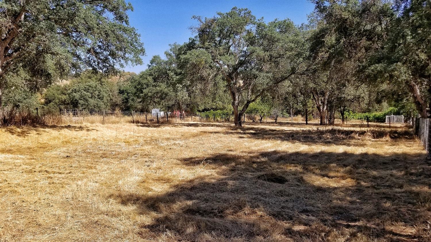 37554 East Kings Canyon Road Dunlap, CA 93621 - Photo 50 of 61 Fenced Pasture