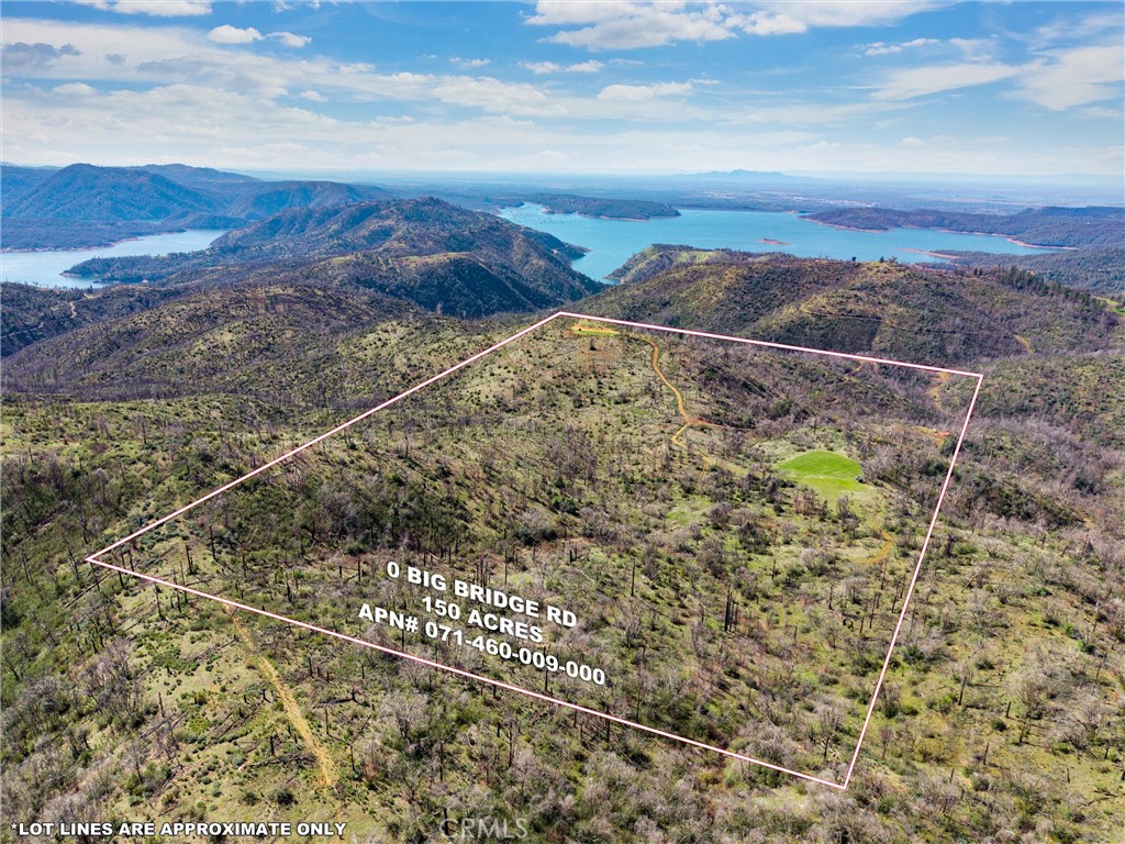 a view of a sky from a yard