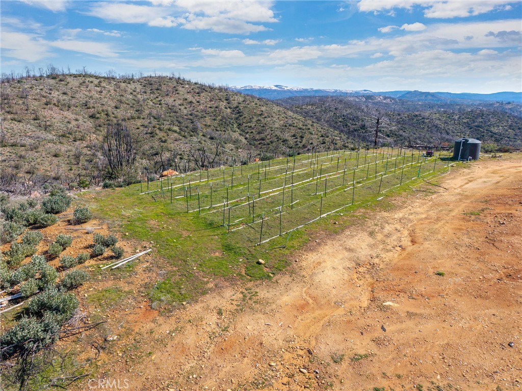 0 Big Ridge Road Berry Creek, CA 95916 - Photo 12 of 25 a view of a yard with an ocean beach