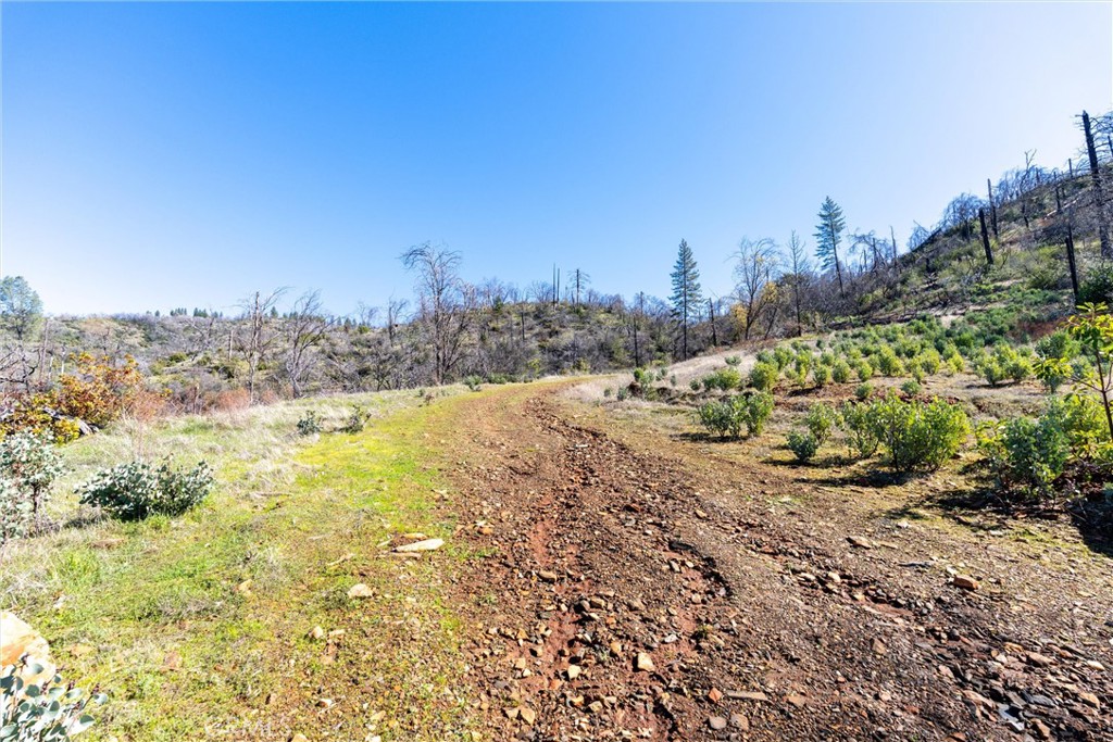 0 Big Ridge Road Berry Creek, CA 95916 - Photo 15 of 25 a view of a lake view