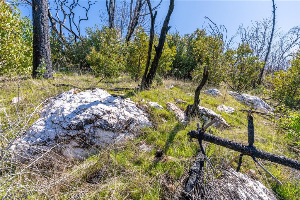 0 Big Ridge Road Berry Creek, CA 95916 - Photo 22 of 25 a view of a yard