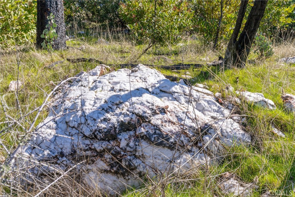 0 Big Ridge Road Berry Creek, CA 95916 - Photo 23 of 25 a view of a yard with a tree