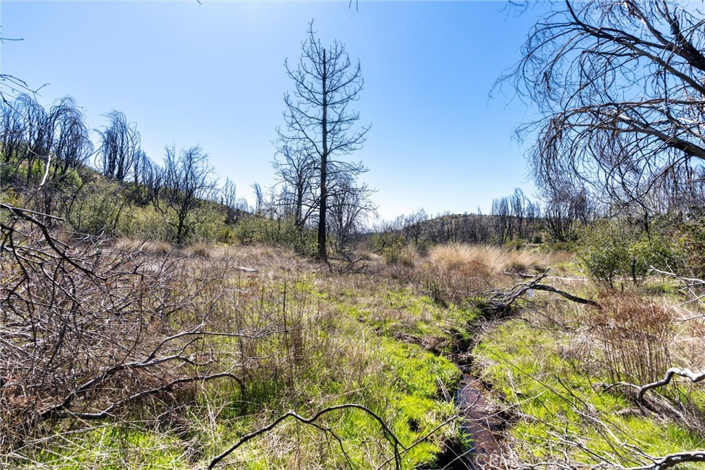 0 Big Ridge Road Berry Creek, CA 95916 - Photo 24 of 25 a view of lake with green space