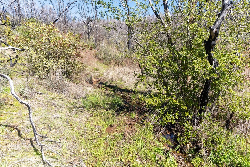 0 Big Ridge Road Berry Creek, CA 95916 - Photo 25 of 25 a view of a yard