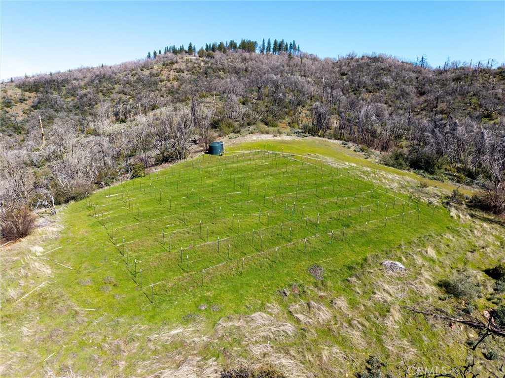 0 Big Ridge Road Berry Creek, CA 95916 - Photo 9 of 25 a view of an outdoor space and a yard