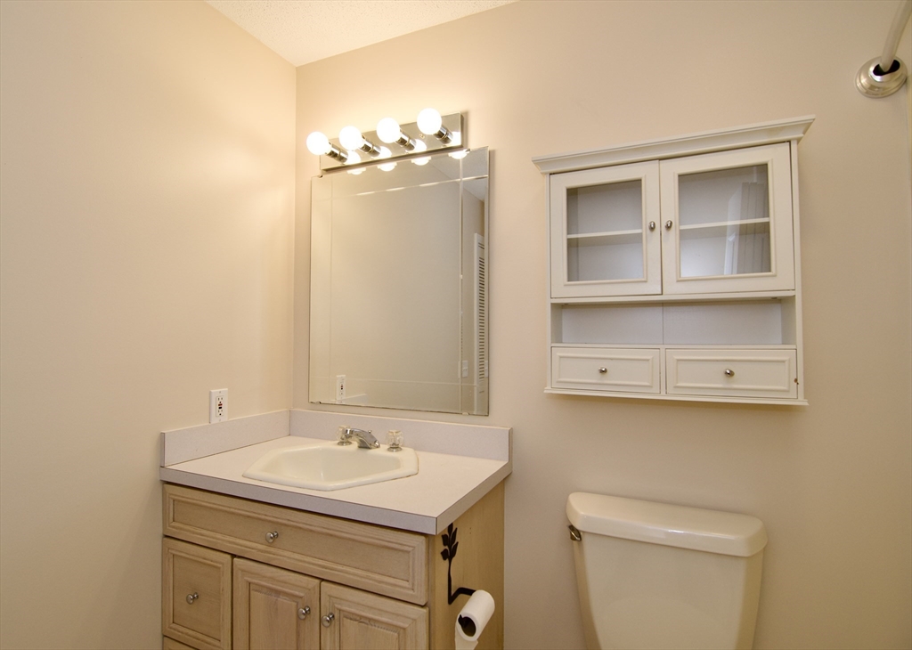 97 Monson Road Brimfield, MA 01010 - Photo 29 of 42 a bathroom with a sink a toilet and a mirror