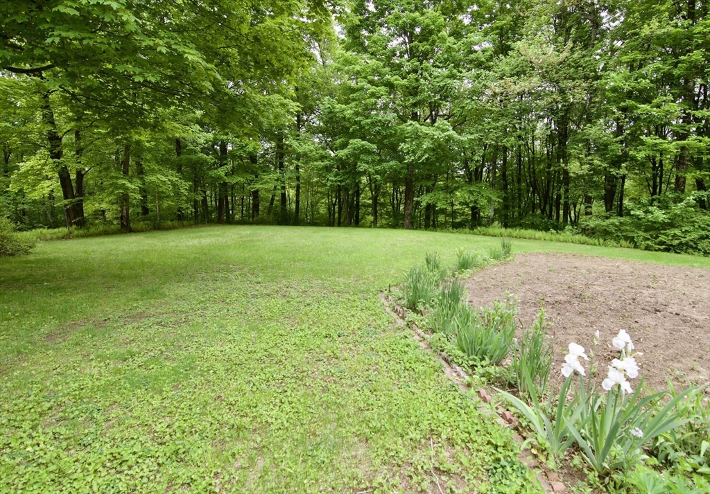 97 Monson Road Brimfield, MA 01010 - Photo 7 of 42 a view of a field of grass and trees