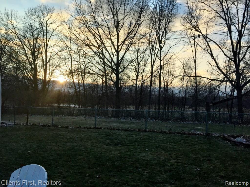 Coachwood-Backyard.jpg