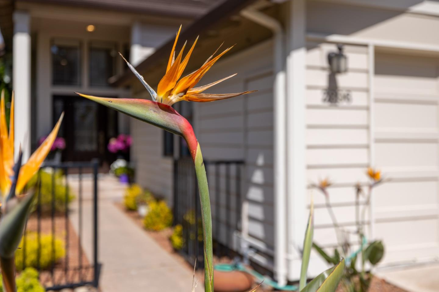 2896 Ransford Avenue Pacific Grove, CA 93950 - Photo 28 of 28 a view of entryway