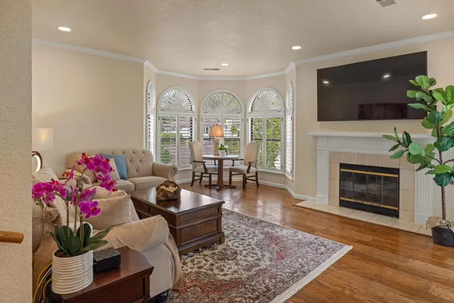 a living room with furniture potted plant and a fireplace