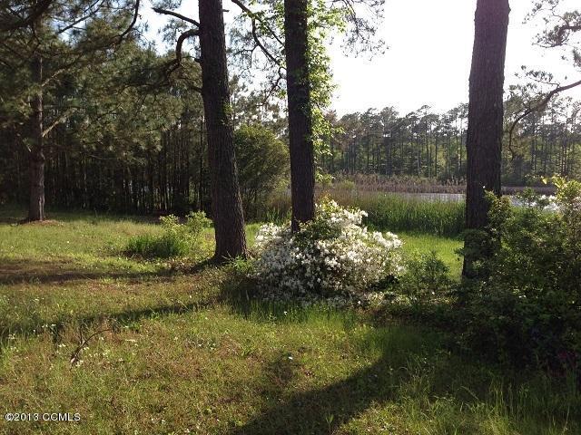 183 Beach Road Beaufort, NC 28516 - Photo 9 of 17 back yard