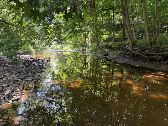 $239,900 | 3201 Youngstown Road, Wilson, NY 14172