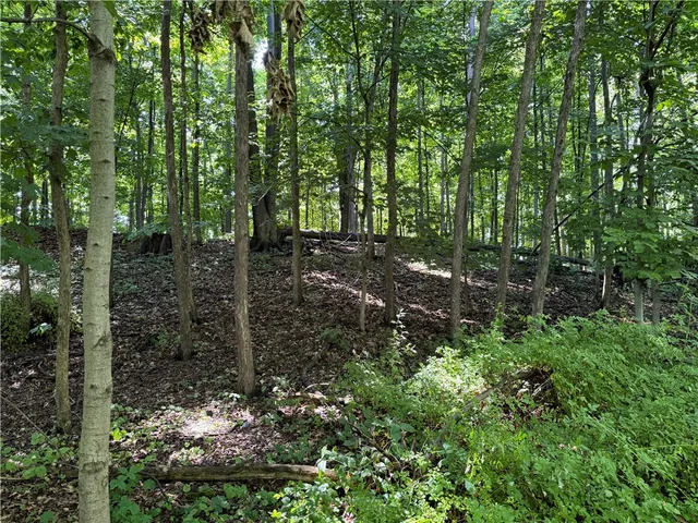 $239,900 | 3201 Youngstown Road, Wilson, NY 14172