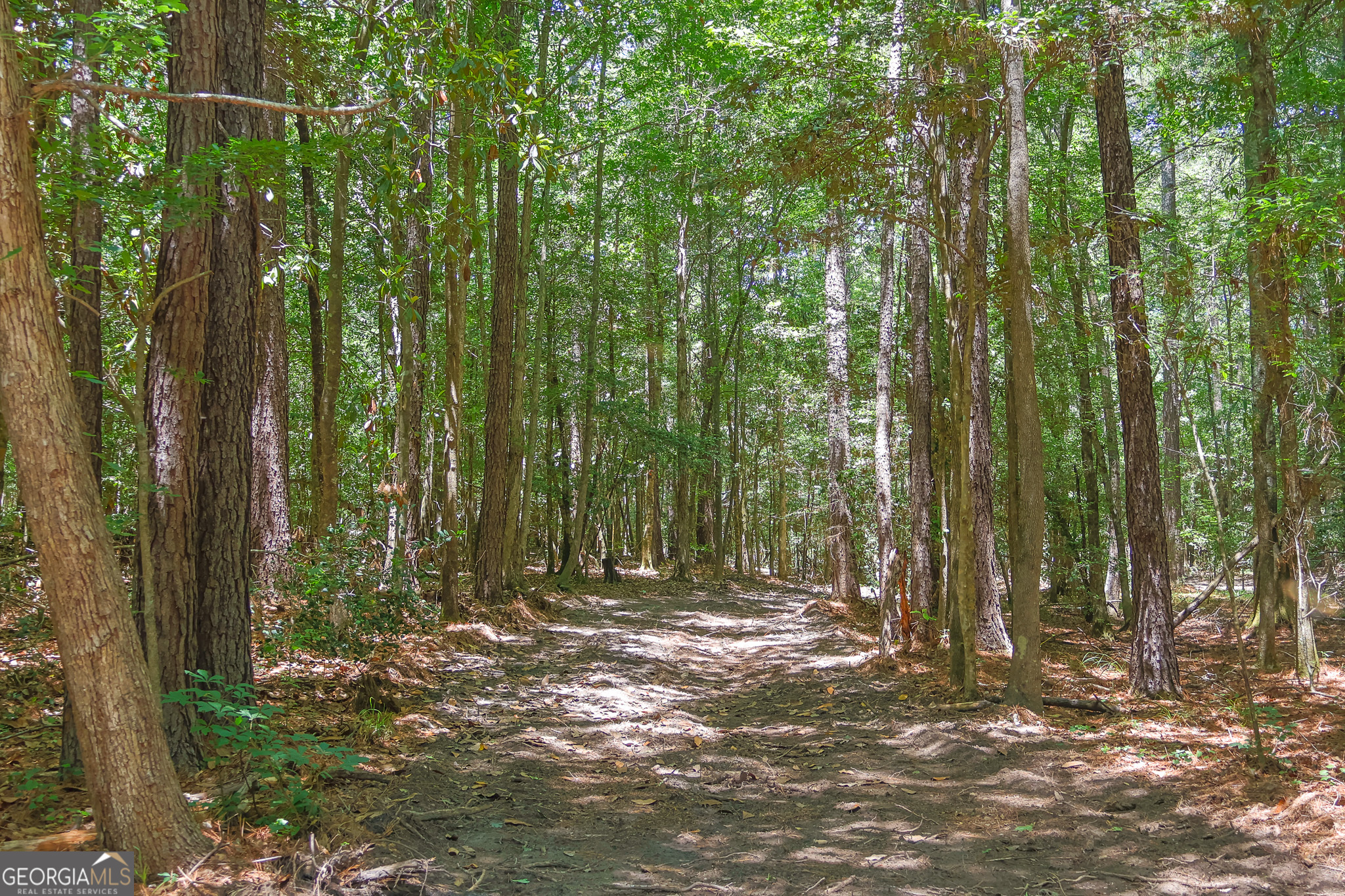 232 Crane Road Cochran, GA 31014 - Photo 16 of 20