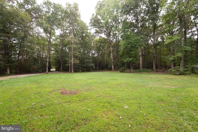 a backyard of a house with lots of plants and large tree