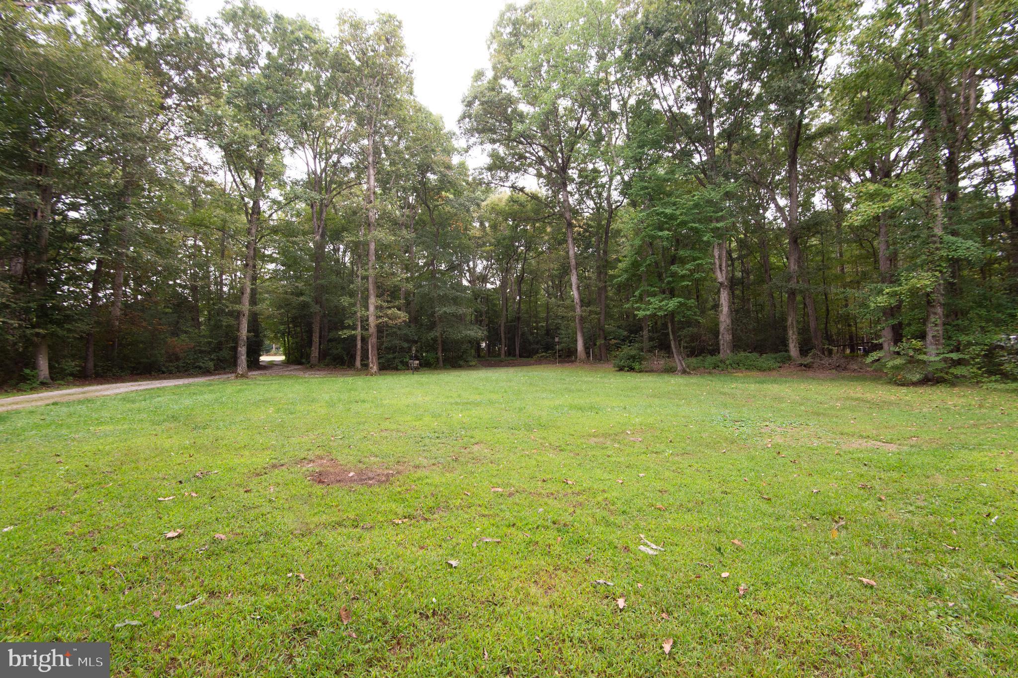 3844 Wrights Wharf Road Hurlock, MD 21643 - Photo 37 of 41 yard