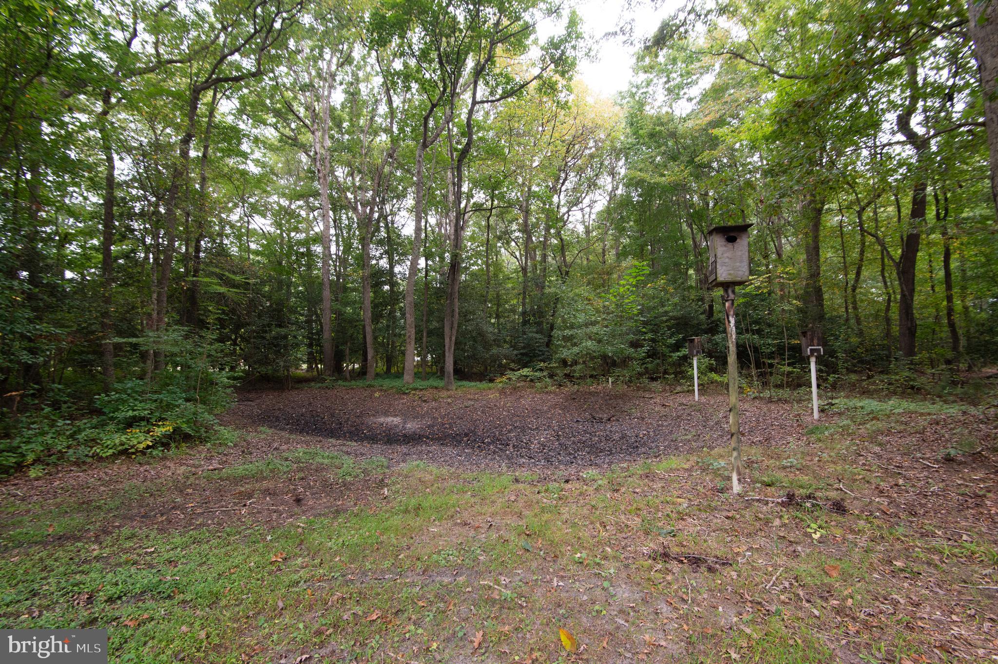 3844 Wrights Wharf Road Hurlock, MD 21643 - Photo 38 of 41
