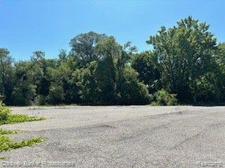 7585 Belleville Road Belleville, MI 48111 - Photo 4 of 5