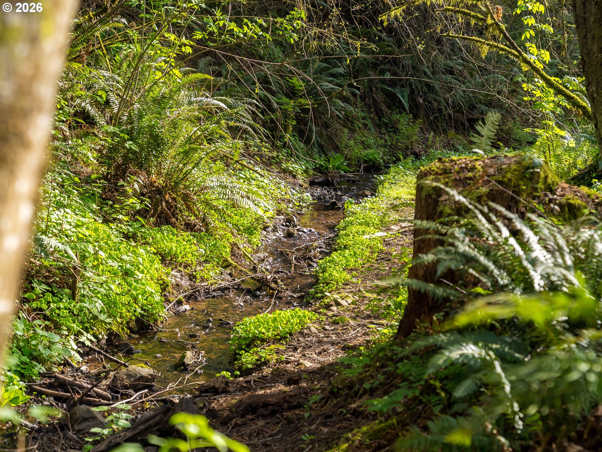 2683 Green Mountain Road Kalama, WA 98625 - Photo 37 of 45