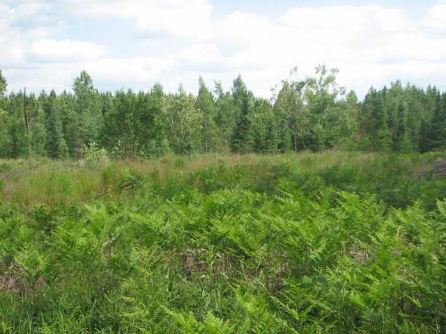 3383 Fire Lane Rhinelander, WI 54501 - Photo 11 of 20 Gallery Image 11