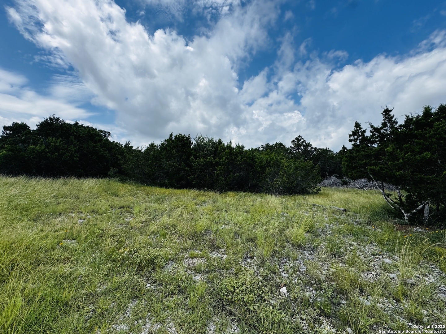 317 Cr Road Mico, TX 78056 - Photo 2 of 5