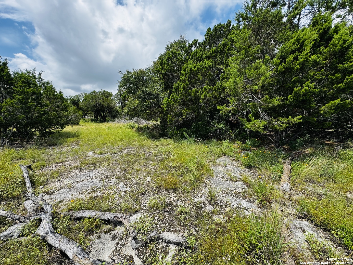 317 Cr Road Mico, TX 78056 - Photo 3 of 5
