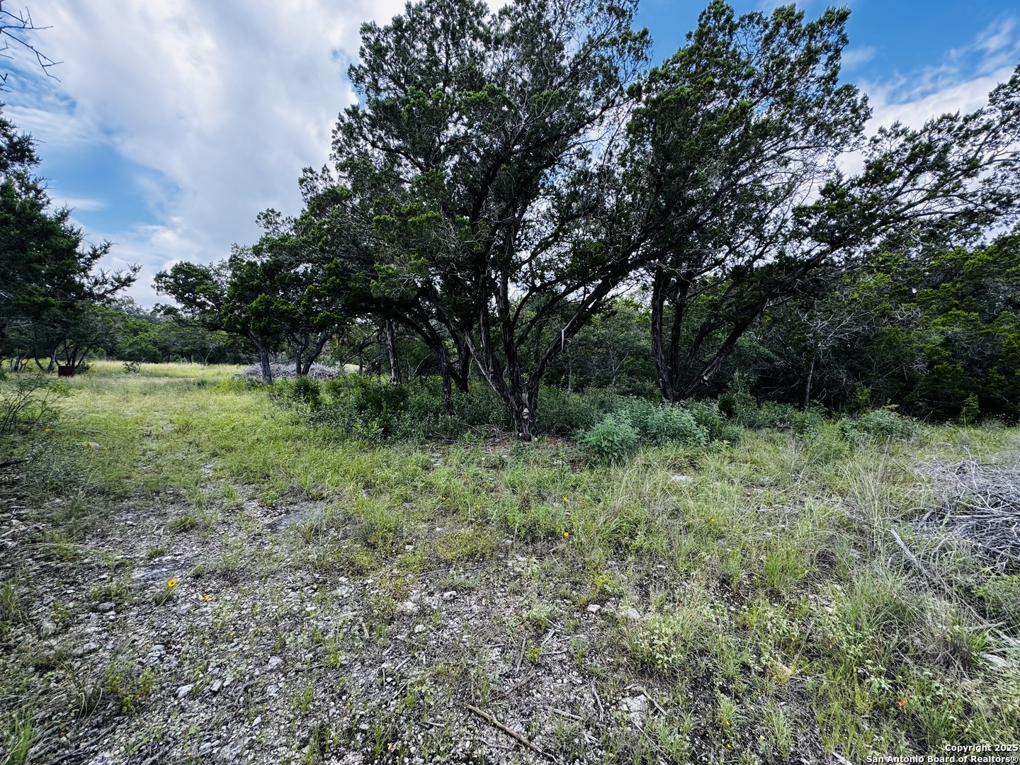 317 Cr Road Mico, TX 78056 - Photo 5 of 5