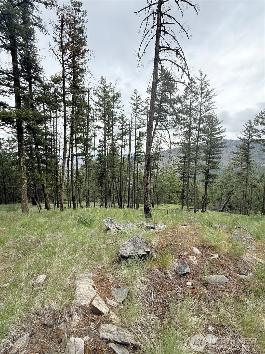 0 Broken Spoke Road Tonasket, WA 98855 - Photo 29 of 39 a fire hydrant in the middle of a field