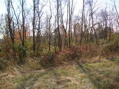 0 Baker Williams Road Corinth, KY 41010 - Photo 1 of 1 Gallery Image 1