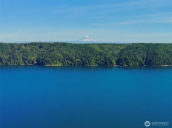 a view of a field with an ocean