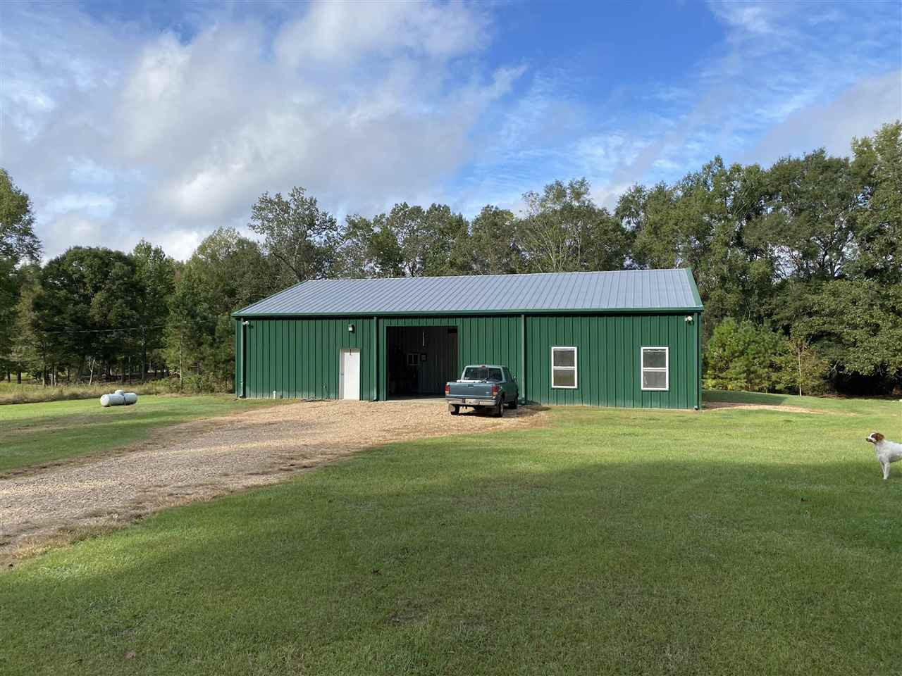 227 Old Pinola Braxton Road Braxton, MS 39044 - Photo 1 of 39 Photo 1