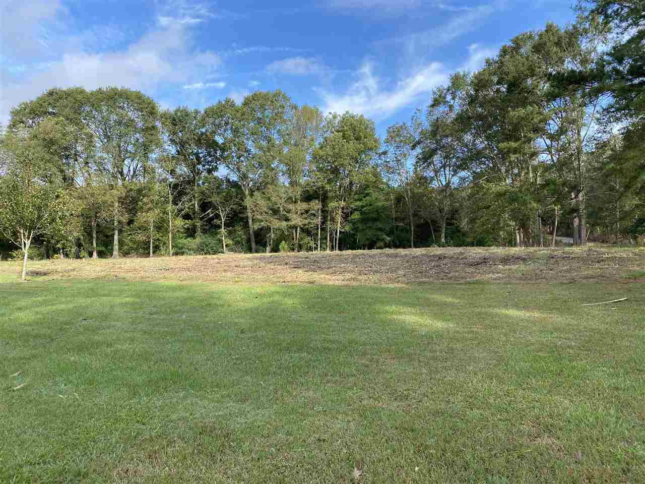 227 Old Pinola Braxton Road Braxton, MS 39044 - Photo 25 of 39 Photo 25