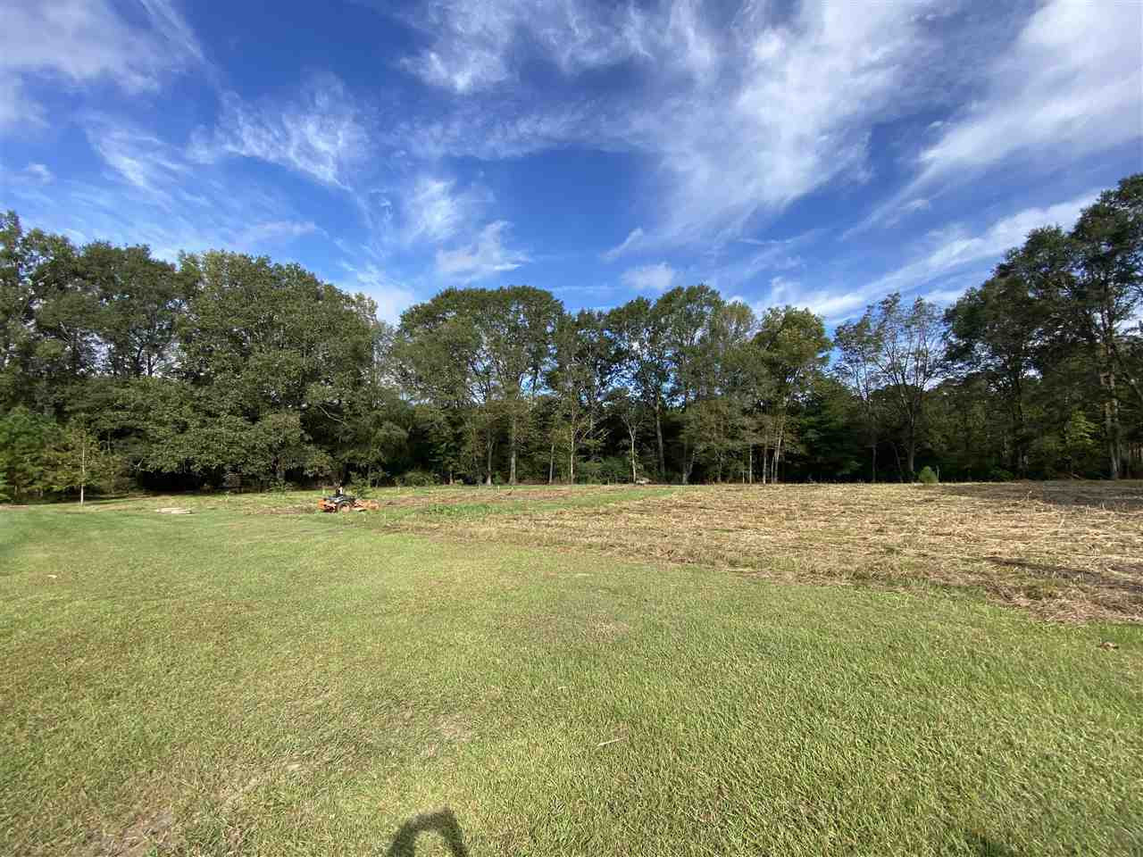227 Old Pinola Braxton Road Braxton, MS 39044 - Photo 28 of 39 Photo 28