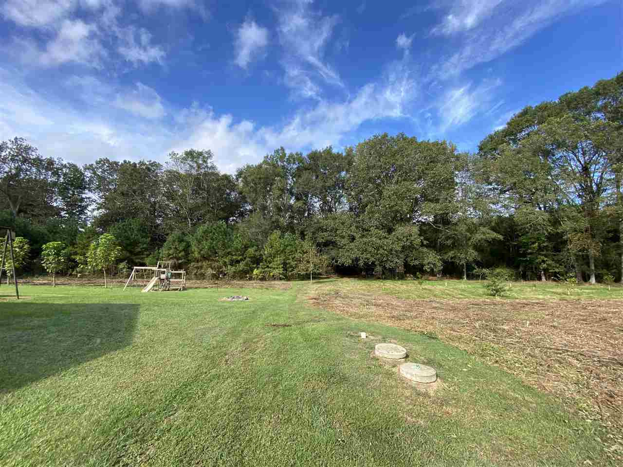 227 Old Pinola Braxton Road Braxton, MS 39044 - Photo 29 of 39 Photo 29