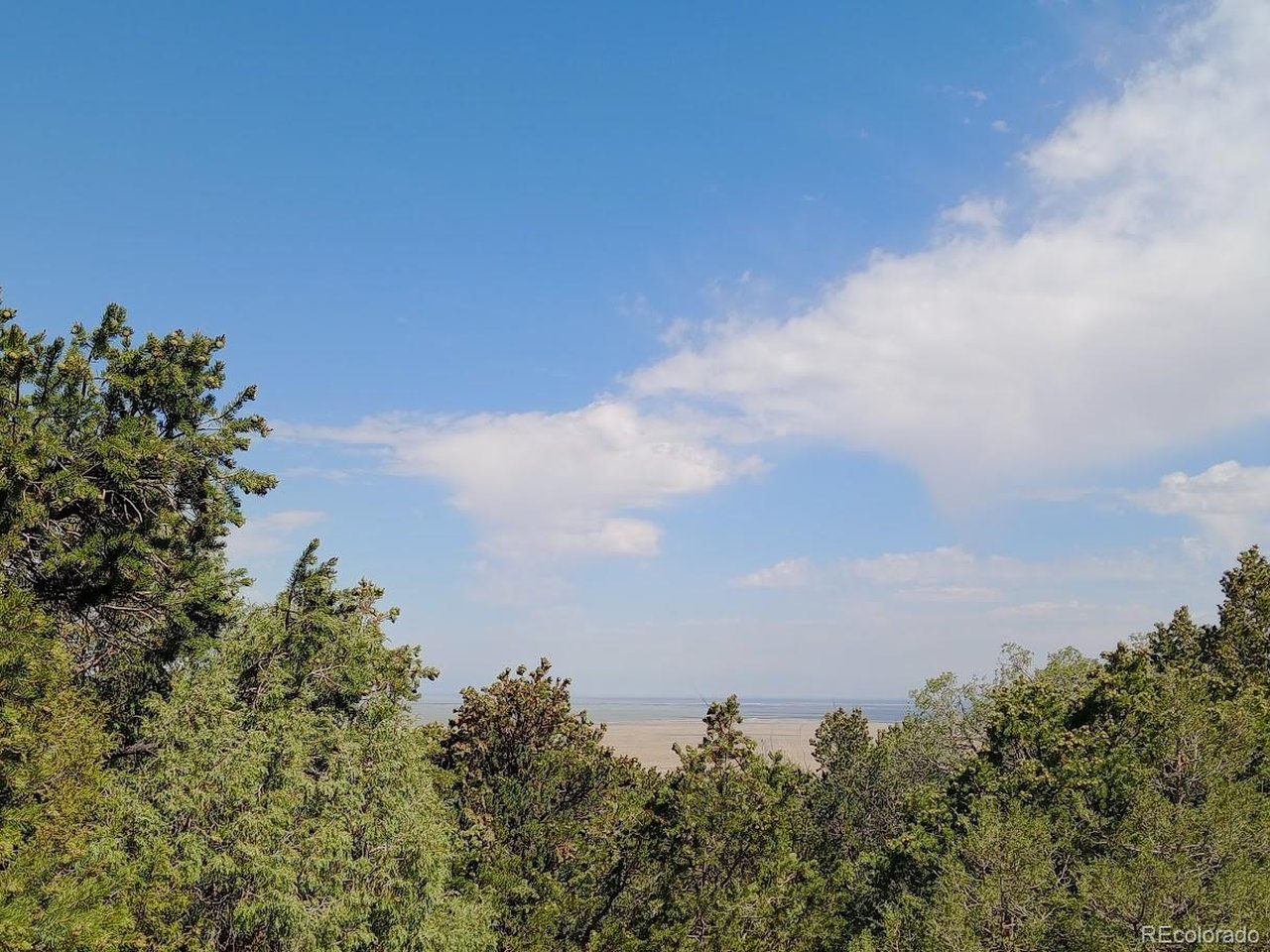 210 Big Bear Road Mosca, CO 81146 - Photo 3 of 10