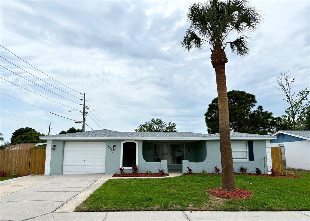 9005 Rainbow Lane Port Richey, FL 34668 - Photo 1 of 1 Gallery Image 1